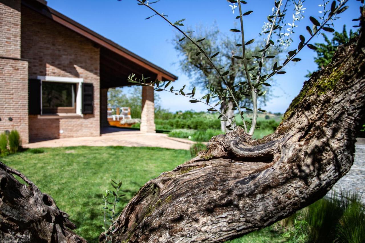 Resort Villa Paola Longiano Luaran gambar